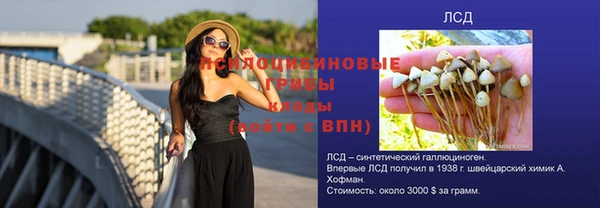 ПСИЛОЦИБИНОВЫЕ ГРИБЫ Уссурийск