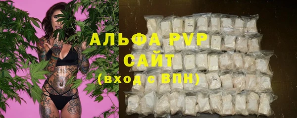 гидра Волгодонск