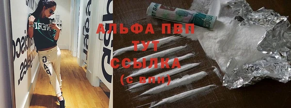 гидра Волгодонск